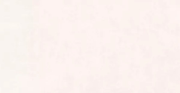 Concrete bone 60x120